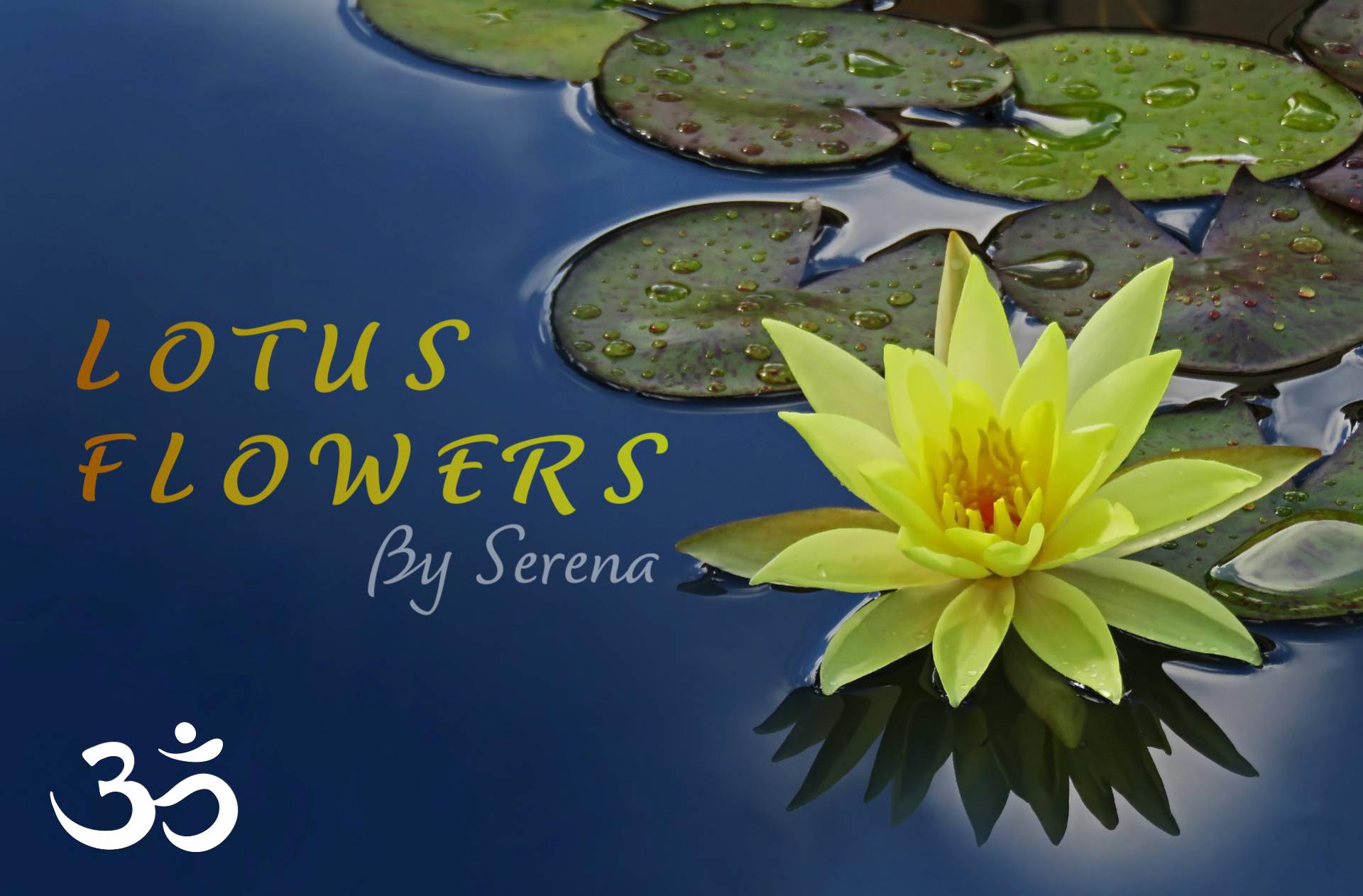 LOTUS FLOWERS | 5 ELEMENTS